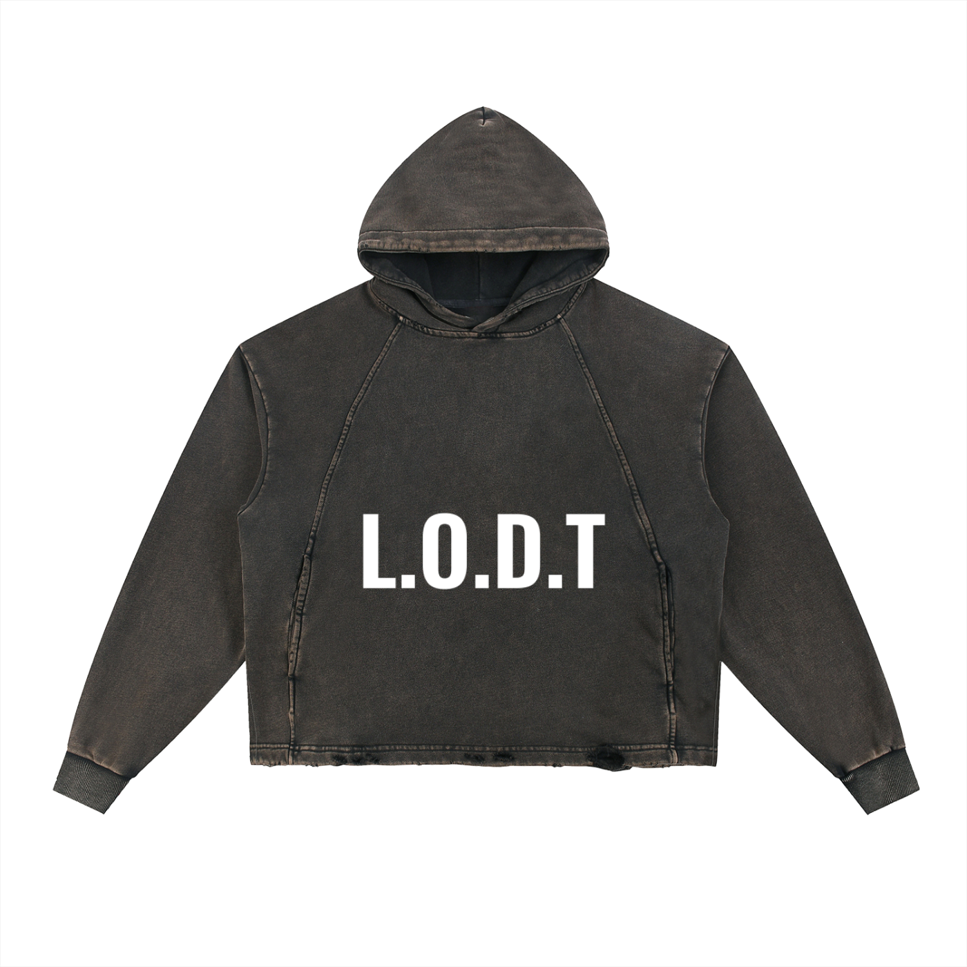 L.O.D.T Hoodie
